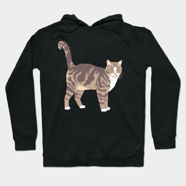 Brown and White Tabby Cat Hoodie by Csieben